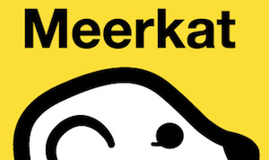 meerkat logo