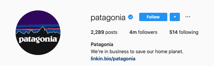 Patagonia's Instagram profile
