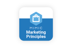 Simulation to Teach Marketing Principles