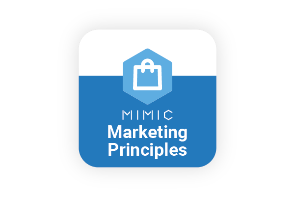 Simulation to Teach Marketing Principles