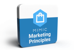 Marketing Principles Simulation