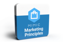 Marketing Principles Simulation