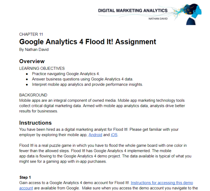 marketing analytics assignment