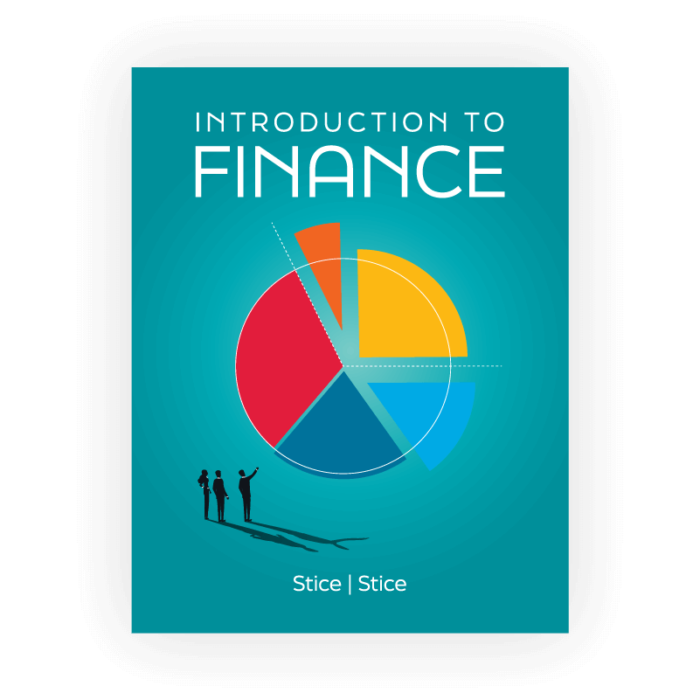 Introduction to Finance Textbook