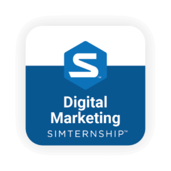 Stukent Digital Marketing Simternship™