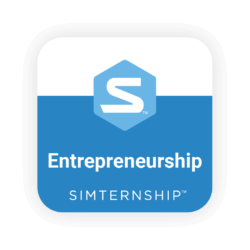 Stukent Entrepreneurship Simternship™