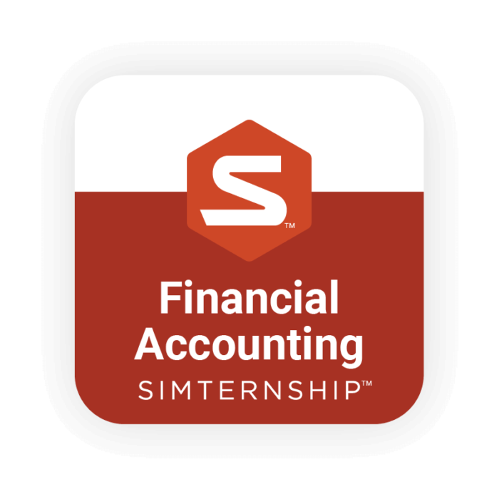 Financial Accounting Simulation