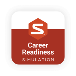 Stukent Career Readiness Simulation