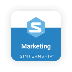 Stukent Marketing Simternship