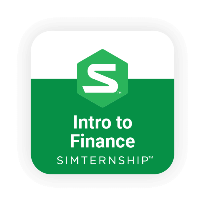 Introduction to Finance Simulation