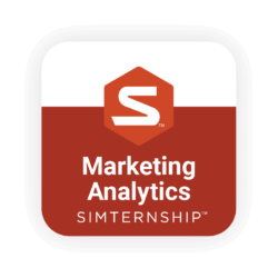 Stukent Marketing Analytics Simternship™