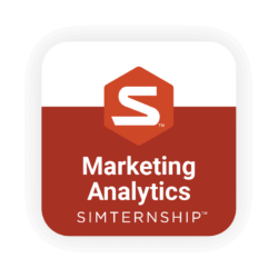 Stukent Marketing Analytics Simternship