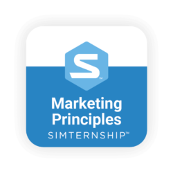 Stukent Marketing Principles Simternship™