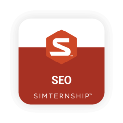 Stukent SEO Simternship™