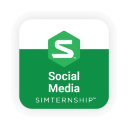 Mimic Social simternship