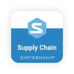 supply chain simulation