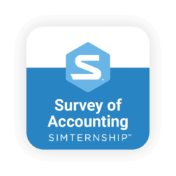 Survey of Accounting Simternship™