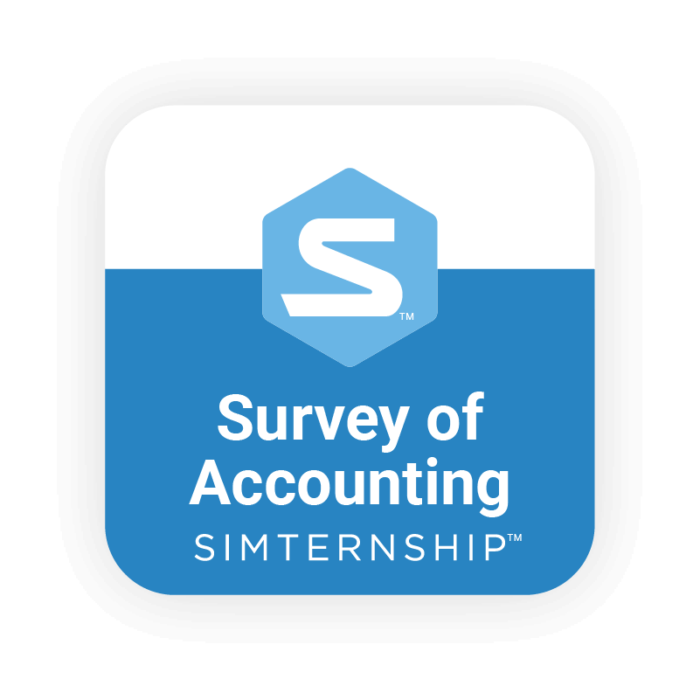 Survey of Accounting Simulation